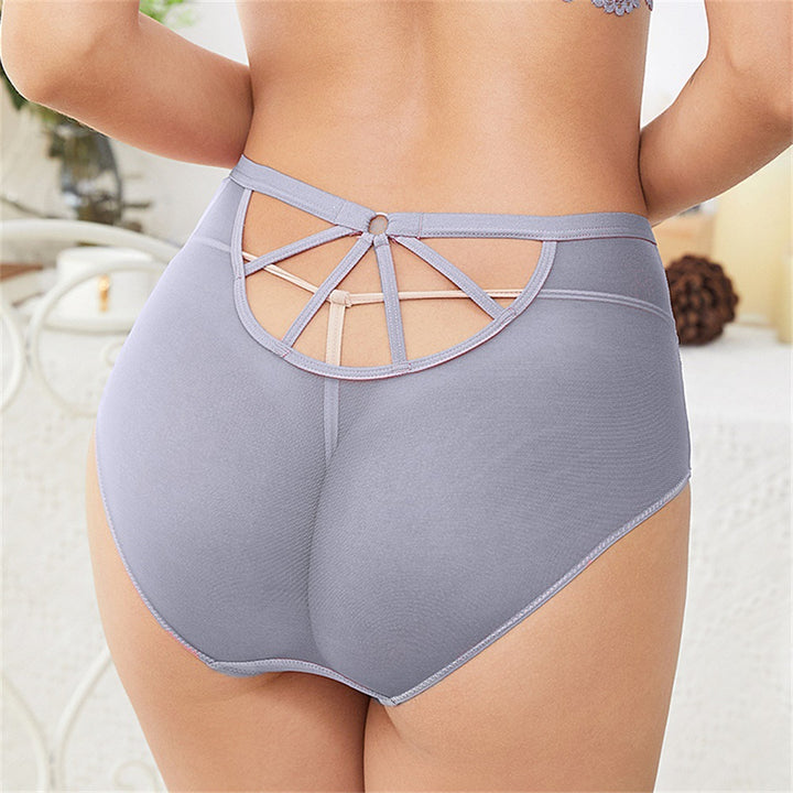 Weisi Honey Silk Summer Autumn Breathable Sexy Lace High Waist Women Briefs