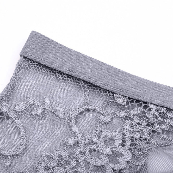 Weisi Honey Silk Summer Autumn Breathable Sexy Lace High Waist Women Briefs