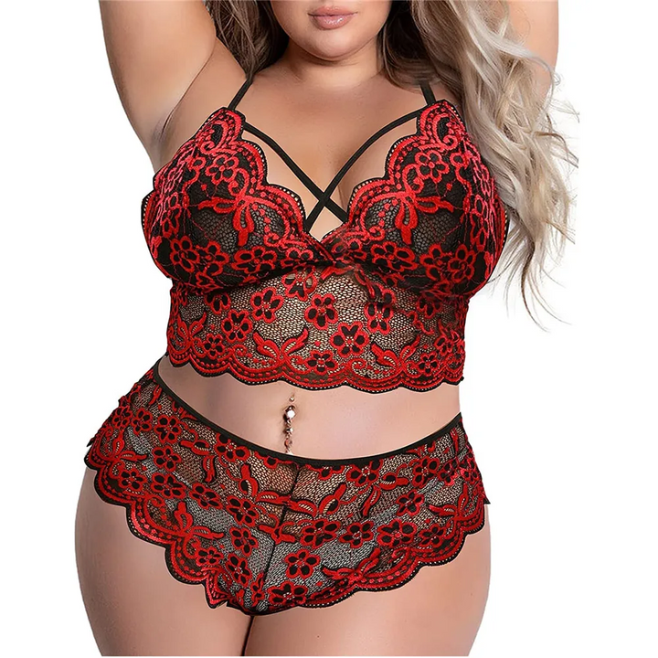 Plus Size Embroidered Lace Sheer Two-Piece Lingerie Set