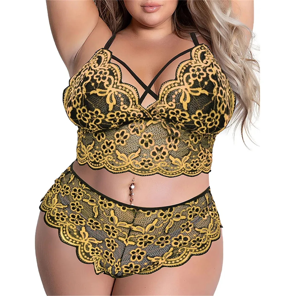 Plus Size Embroidered Lace Sheer Two-Piece Lingerie Set