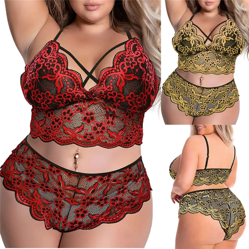 Plus Size Embroidered Lace Sheer Two-Piece Lingerie Set