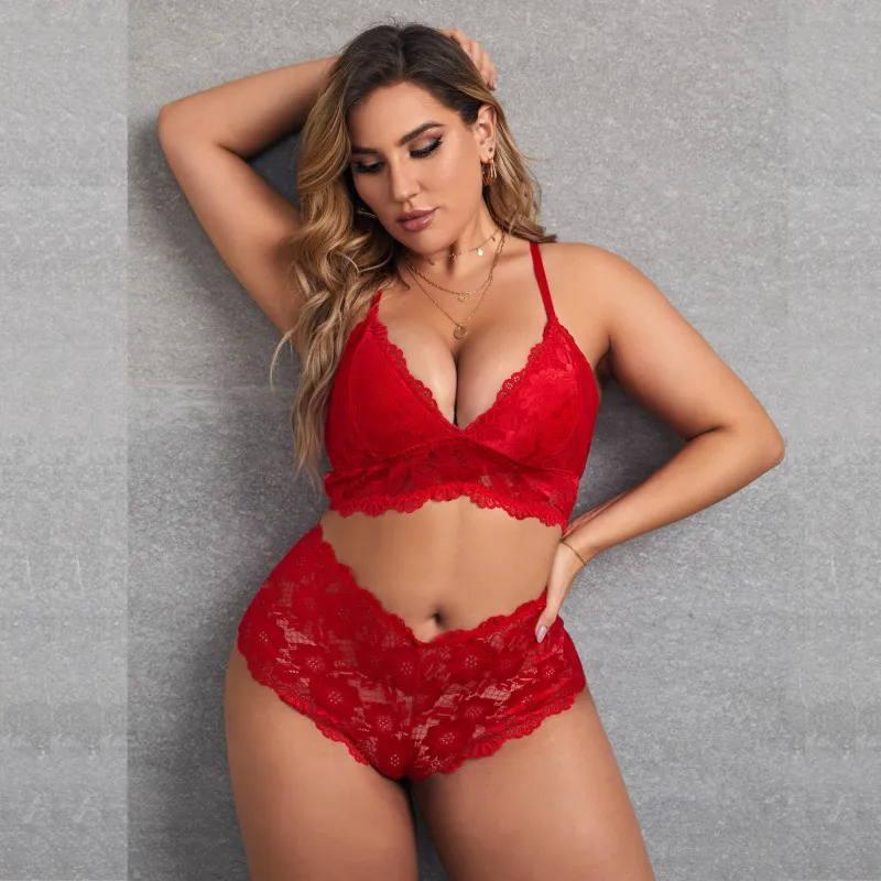 Plus Size Lace Strappy Bra and Panty Set