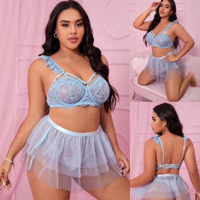 Plus Size Sheer Lace Mesh Lingerie Set