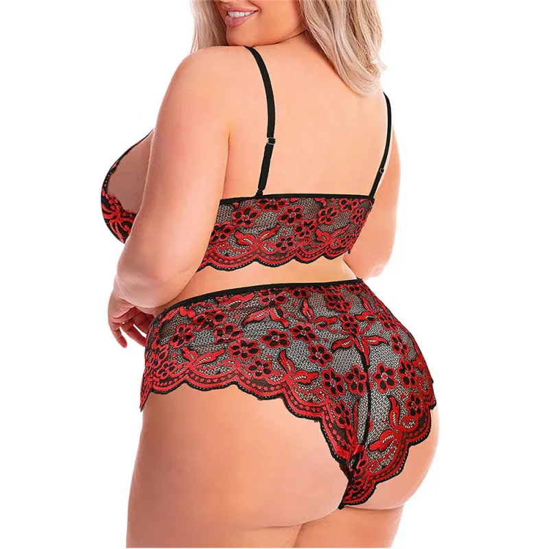 Plus Size Embroidered Lace Sheer Two-Piece Lingerie Set