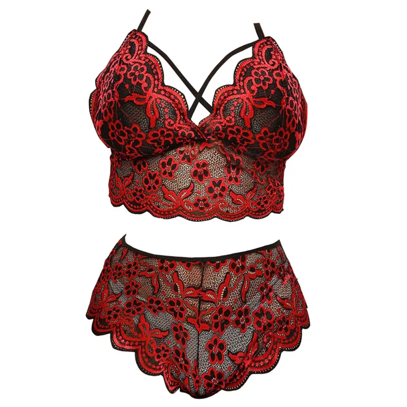 Plus Size Embroidered Lace Sheer Two-Piece Lingerie Set